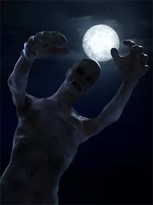 梦之星豪华游轮