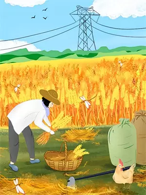 深度距离信息
